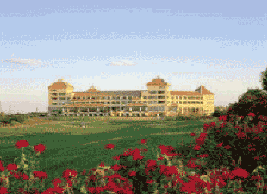Golf i Egypten